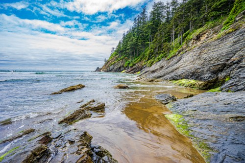 A rocky shoreline with gentle waves, lush green trees, and a cloudy sky above.