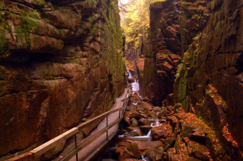 A wooden walkway through a moss-covered canyon with a stream and autumn foliage.
