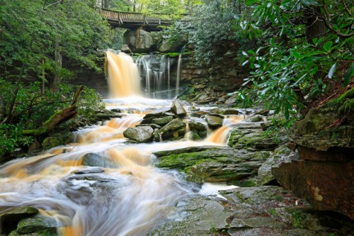 A serene waterfall cascades over rocks, surrounded by lush greenery and a wooden bridge in the background.