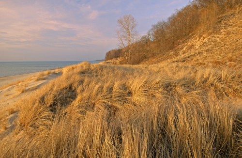 A serene beach scene with tall grass, gentle dunes, and a calm lake under a pastel sky at sunset.
