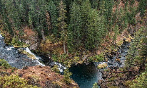 A serene forest landscape featuring a winding river, lush green trees, and rocky banks.