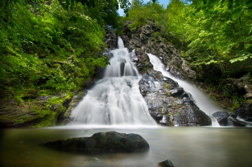 A serene waterfall cascades over rocky cliffs, surrounded by lush green trees and a calm pool below.