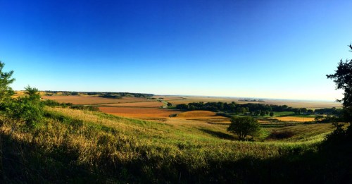 A panoramic view of rolling hills and fields under a clear blue sky, showcasing vibrant green and golden landscapes.