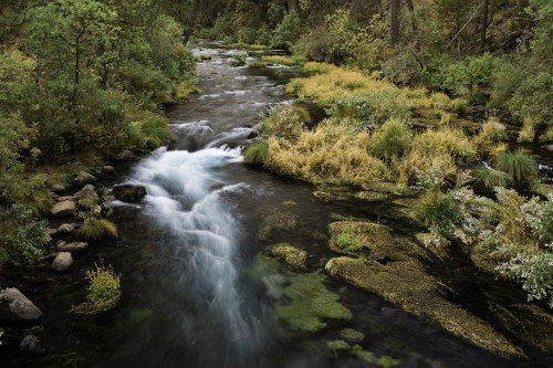 A serene river flows through a lush green landscape, surrounded by rocks and vibrant vegetation.