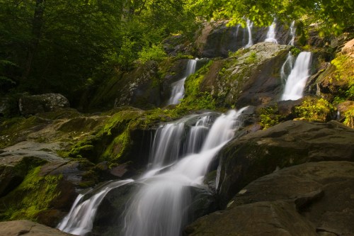A serene waterfall cascading over moss-covered rocks, surrounded by lush green foliage.