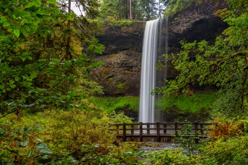 A serene waterfall cascades down a rocky cliff, surrounded by lush green trees and foliage, with a wooden bridge in the foreground.