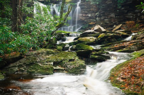 A serene waterfall cascades over moss-covered rocks, surrounded by lush greenery in a tranquil forest setting.