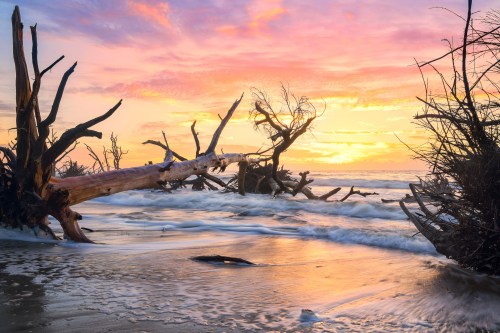 A serene beach scene at sunset, featuring driftwood and gentle waves under a colorful sky.