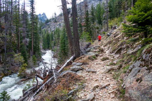 A hiker in a red jacket walks along a rocky trail beside a rushing river, surrounded by tall trees and mountains.