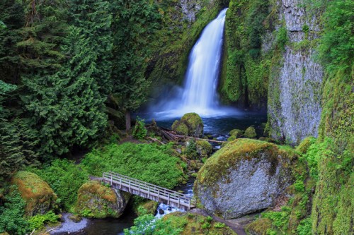A serene waterfall cascades into a lush green forest, with a wooden bridge crossing over a rocky stream below.