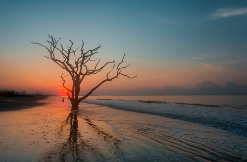 A silhouetted dead tree stands on a beach at sunset, reflecting in the water with gentle waves lapping at the shore.
