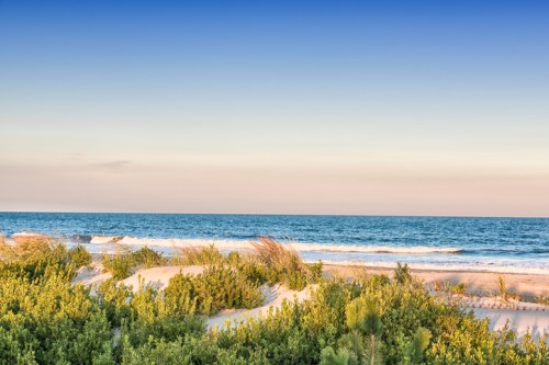 A serene beach scene with gentle waves, sandy dunes, and lush greenery under a clear blue sky.