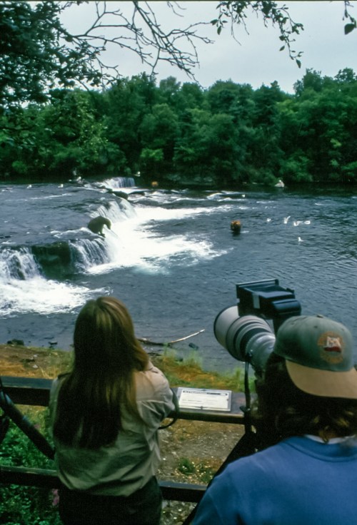 A woman and a man with a camera observe a waterfall surrounded by lush greenery and birds in the water.