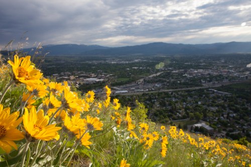 A scenic view from a hilltop, featuring vibrant yellow flowers in the foreground and a cityscape with mountains in the background.