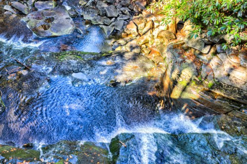 A serene stream flows over rocks, surrounded by lush greenery and dappled sunlight.