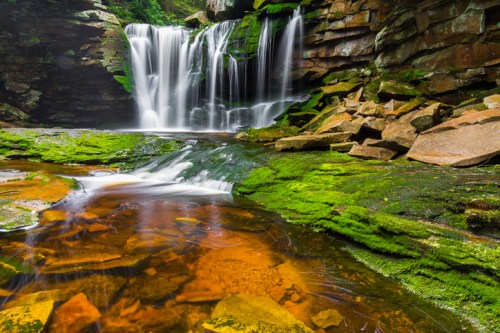 A serene waterfall cascades over moss-covered rocks into a clear pool, surrounded by lush greenery.