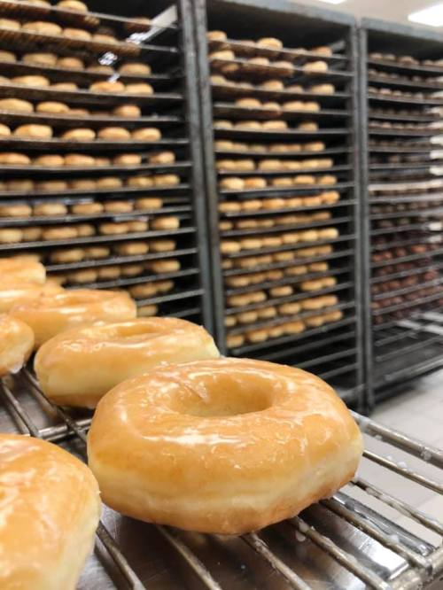 Freshly glazed donuts on a cooling rack, with trays of more donuts stacked in the background.