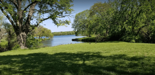 A serene lakeside scene with lush green grass, trees, and a calm water surface under a clear blue sky.