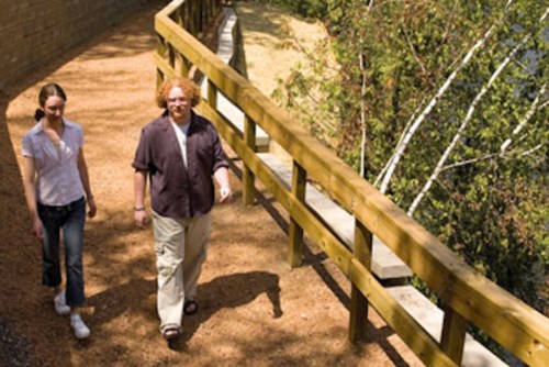 Two people walk along a wooden path surrounded by trees and greenery on a sunny day.