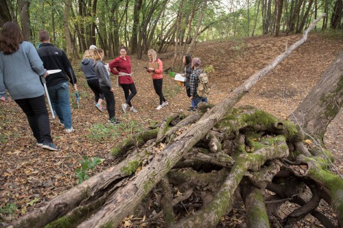 A group of people walking in a wooded area, with a focus on a pile of moss-covered tree roots in the foreground.
