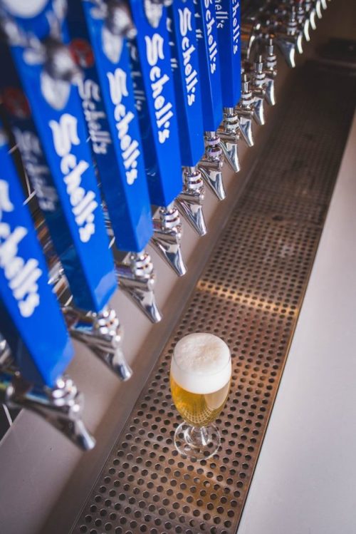 A glass of beer sits on a bar counter beneath blue beer taps.