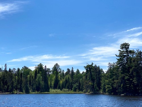 A serene lake surrounded by lush green trees under a clear blue sky with wispy clouds.