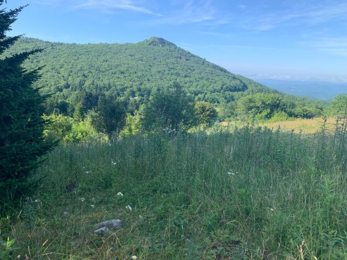 A lush green landscape with rolling hills under a clear blue sky, featuring trees and wildflowers in the foreground.