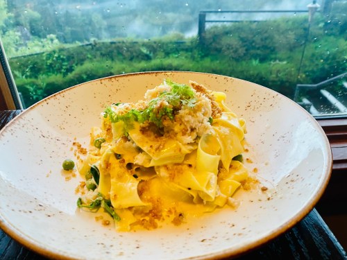 A plate of creamy pasta topped with herbs and breadcrumbs, with a scenic view of greenery and rain outside the window.