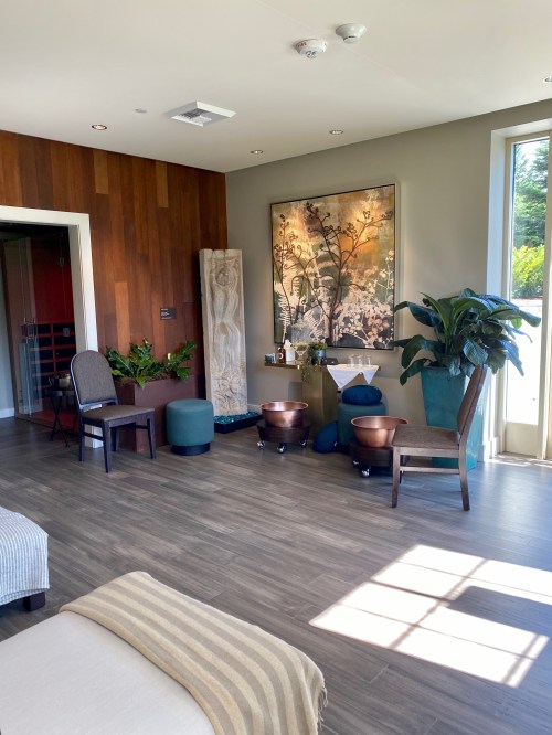 A serene spa room with wooden walls, plants, seating, and decorative art, featuring natural light and a calming atmosphere.