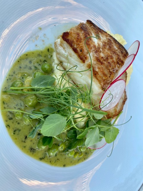 A beautifully plated dish featuring seared fish, green peas, herbs, and radish slices on a creamy sauce.