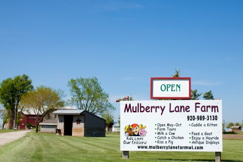 Sign for Mulberry Lane Farm with activities listed, surrounded by green fields and farm buildings on a sunny day.