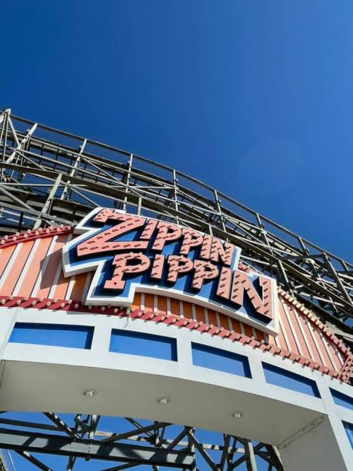 Sign for the Zippin Pippin roller coaster against a clear blue sky.