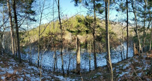 A panoramic view of a snowy landscape surrounded by trees, with a clear blue sky above.