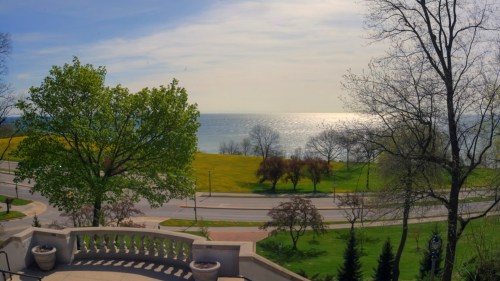 A serene lakeside view with green trees, a calm water surface reflecting sunlight, and a clear sky.