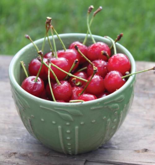 A green bowl filled with fresh, shiny red cherries on a wooden surface.
