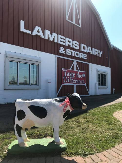A painted cow statue stands in front of Lamers Dairy & Store, featuring a red barn and a "Taste the Difference" sign.