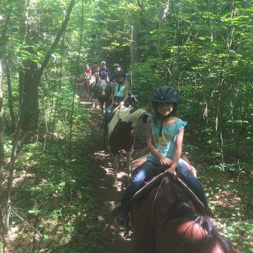 A group of children riding horses along a wooded trail, wearing helmets and enjoying a sunny day outdoors.