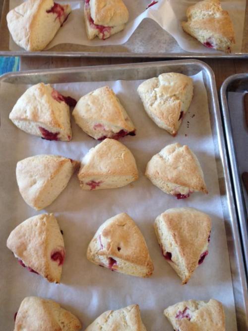 Freshly baked scones with bits of fruit, arranged on parchment-lined baking trays.