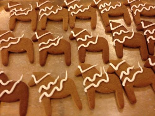 A tray of gingerbread cookies shaped like reindeer, decorated with white icing on top.