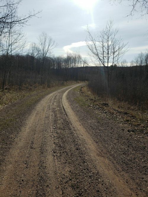 A winding dirt road through a forest, with bare trees and a bright sky in the background.