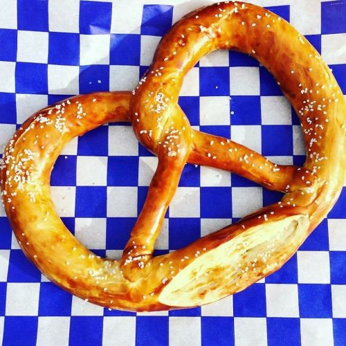 A large, golden-brown pretzel sprinkled with coarse salt on a blue and white checkered background.