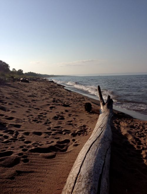 A sandy beach with gentle waves, a large driftwood log, and a clear sky in the background.