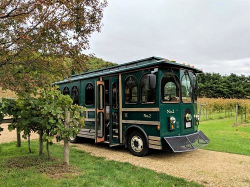 A green vintage trolley bus parked on a gravel path surrounded by trees and vineyards under a cloudy sky.