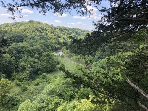 Lush green landscape with a winding river, framed by trees under a blue sky with scattered clouds.