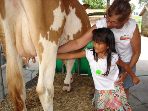 A woman teaches a young girl how to milk a cow at a farm, with the cow standing calmly in the background.