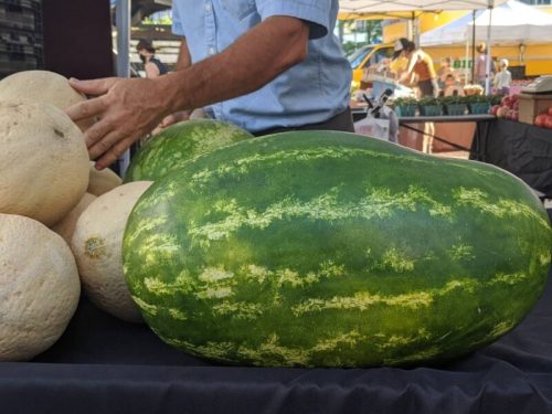 A large watermelon sits on a table at a market, with a person reaching for melons in the background.