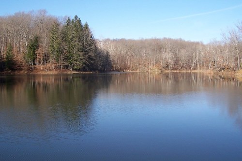 A calm lake surrounded by trees, reflecting the clear blue sky and serene landscape.