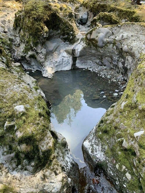 A serene natural pool surrounded by mossy rocks and pebbles, reflecting trees and sky above.