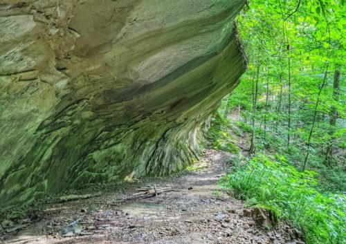 A winding trail beneath a large rock overhang, surrounded by lush green trees and foliage.