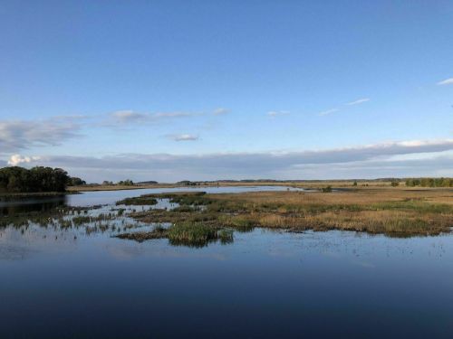 A serene landscape featuring a calm river, grassy banks, and a clear blue sky with scattered clouds.